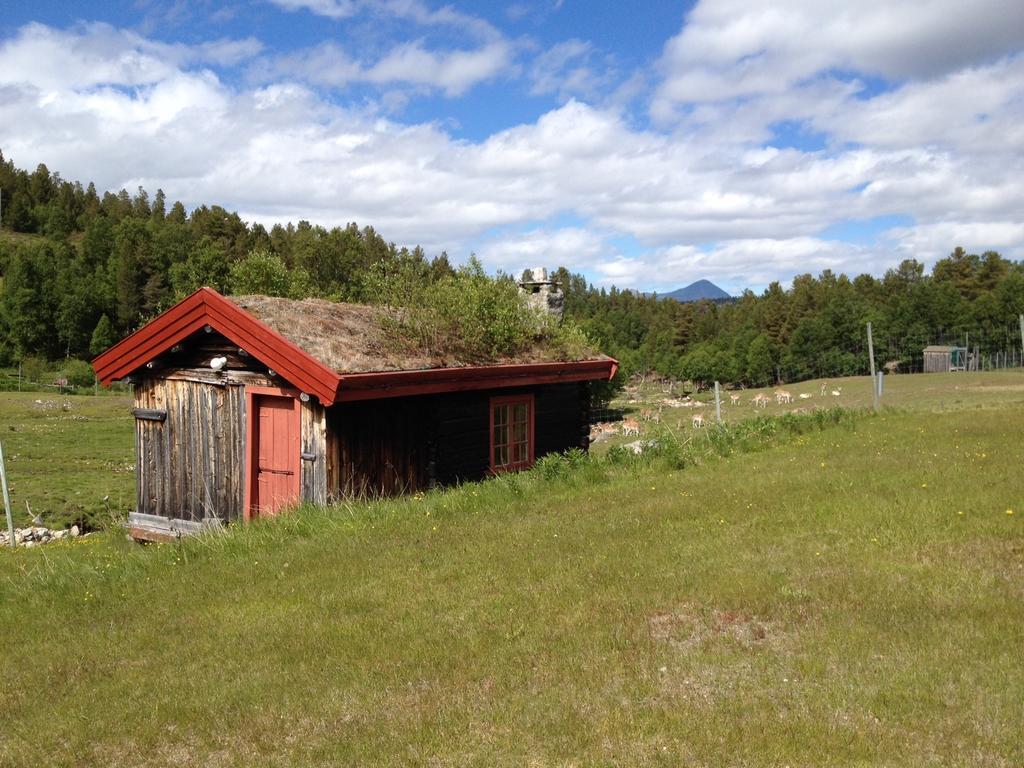Rondane Friluftssenter Rondetunet Brenn Habitación foto