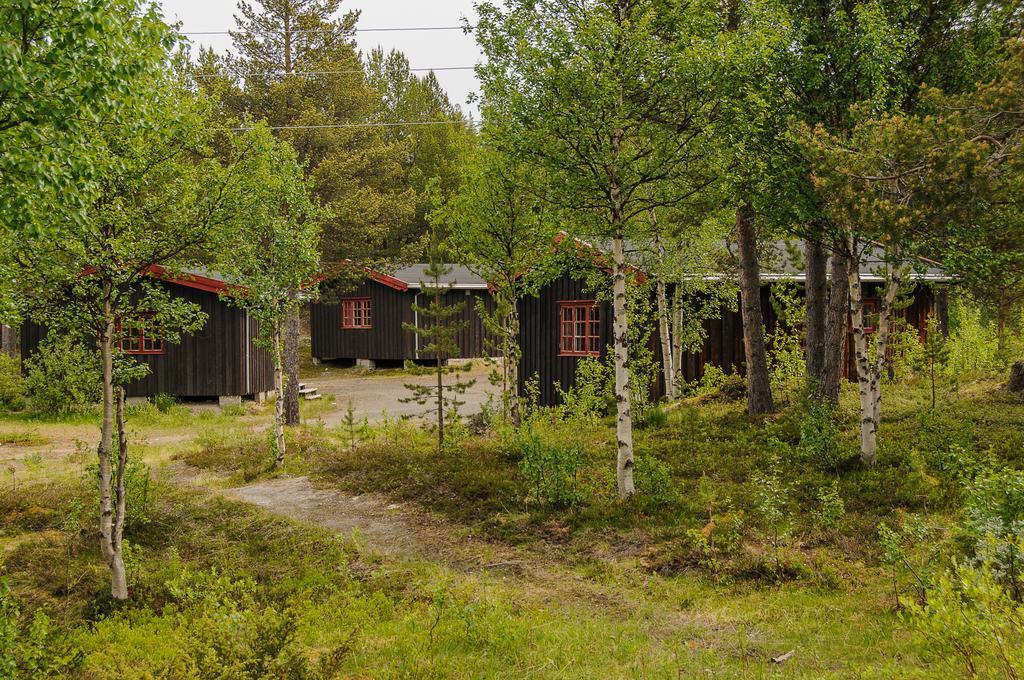 Rondane Friluftssenter Rondetunet Brenn Habitación foto